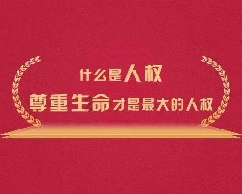 逃离梦想之家